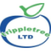 Tripple Tree Ltd
