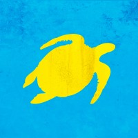 Turtle Bay Restaurants